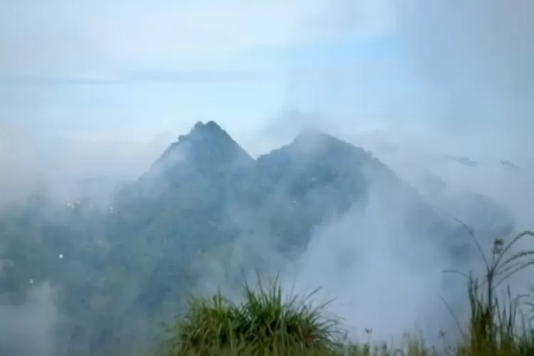 Gunung Singa Bandung: Pendakian Ideal untuk Pemula dengan Pemandangan Indah