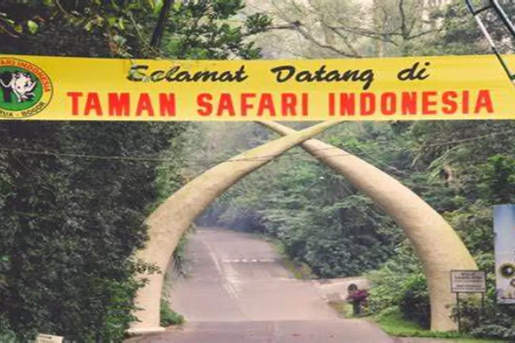 Taman Safari Indonesia: Kebun Binatang Satwa Langka di Cisarua, Bogor, Jawa Barat