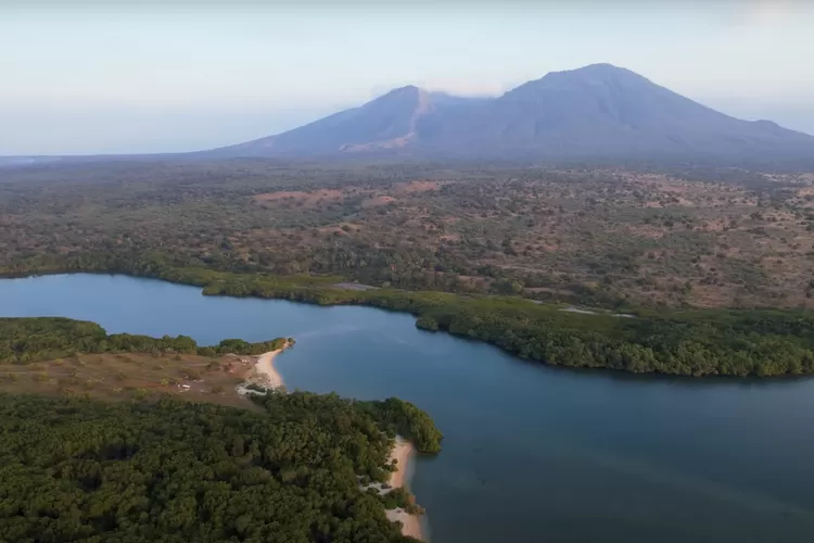 Taman Nasional Baluran: Keindahan Alam dan Sejarah Di Jawa Timur