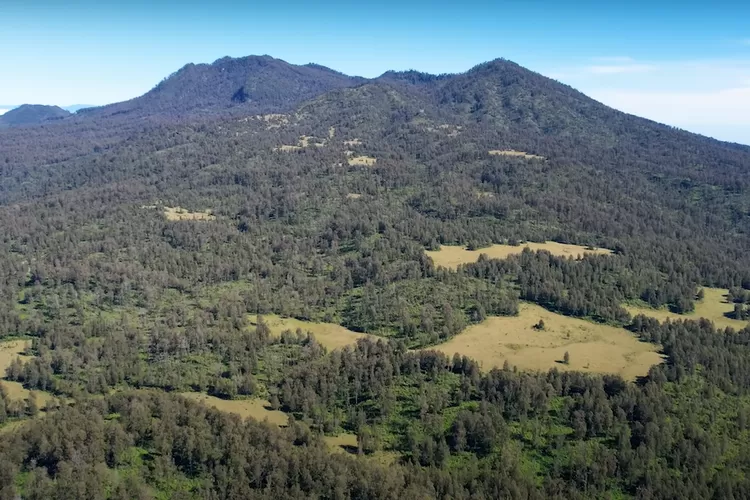 Gunung Argopuro: Puncak Magis di Perbatasan Probolinggo, Situbondo, dan Bondowoso