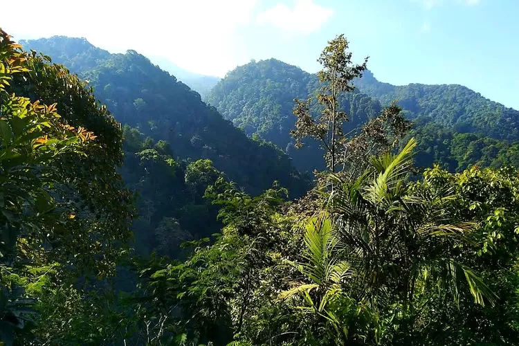 Perlindungan dan Konservasi Fauna Langka di Taman Nasional Gunung Ciremai