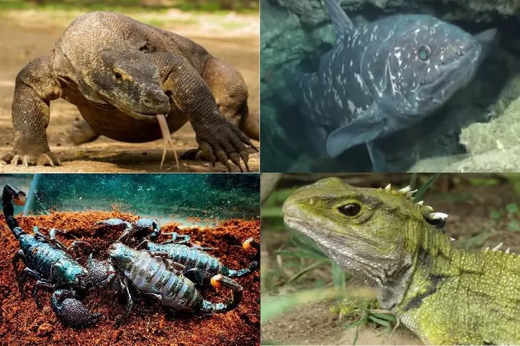 Keajaiban Fauna Prasejarah: Bukti Keanekaragaman Hayati dan Adaptasi Makhluk Hidup