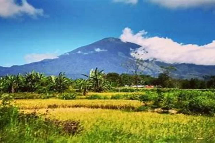 Gunung Ciremai: Keindahan Alam dan Destinasi Pendakian Favorit di Jawa Barat