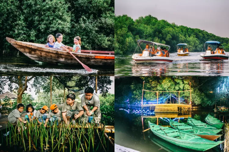 Wisata Alam Angke Kapuk: Rekreasi Alam Jakarta yang Menarik