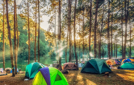 Wisata alami dan menarik di Tegal: Rumah Angsa Glamping