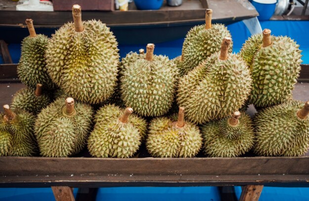 Tempat Makan Durian Terbaik di Medan: Nikmati Kelezatan Durian di Sibolang, Ucok, Abeng, dan Pelawi Durian