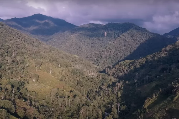 Menjaga Kelestarian Taman Nasional Gandang Dewata di Sulawesi Barat