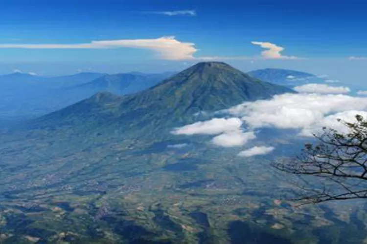 Wisata Gunung Slamet: Rumah Bagi Fauna Langka yang Terancam Punah